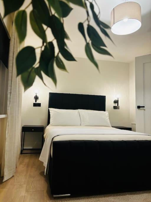 Rebels Rest Appartement Belfast